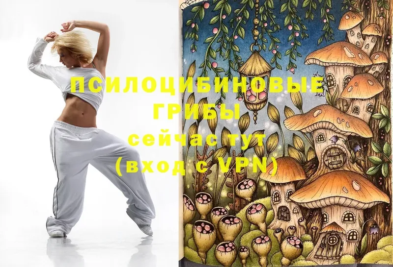 shop формула  Кувшиново  Галлюциногенные грибы Cubensis  OMG ссылки 